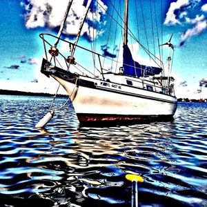 Print or canvas 16x20